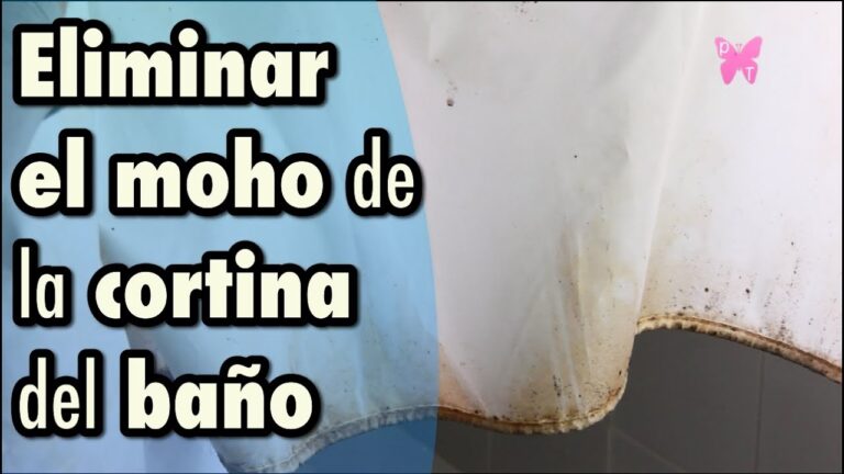 Protección Efectiva contra la Humedad en Cortinas