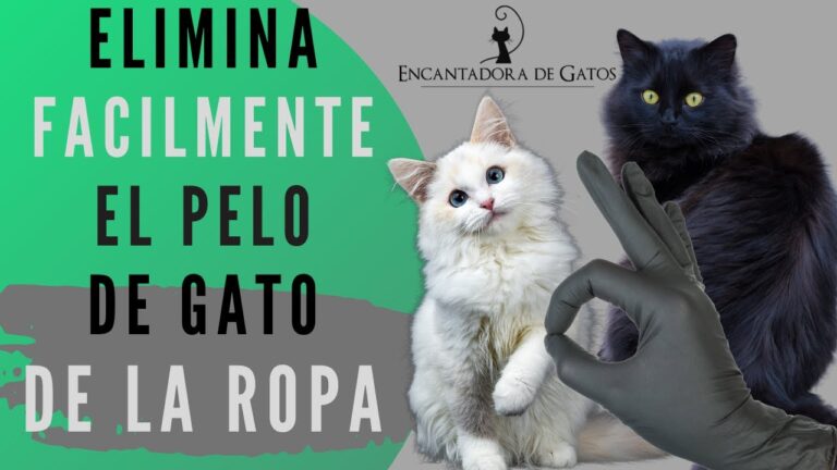 Guía para la compra de telas de calicó para sábanas