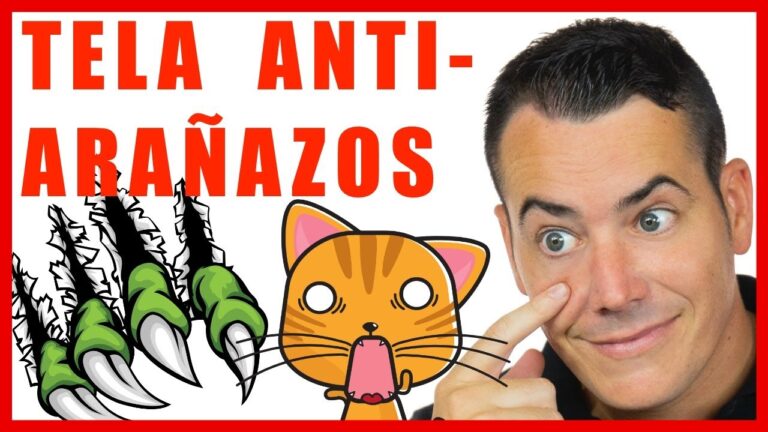Protector de Telas Antirañazos para Sofás: La Solución Ideal