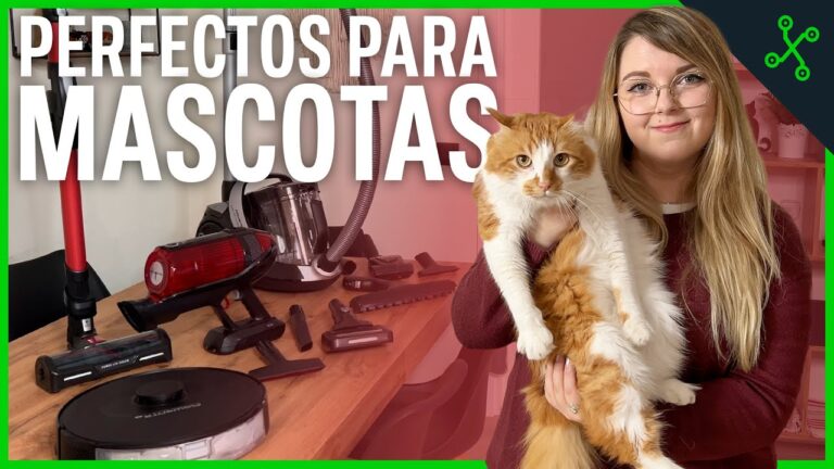 Telas Especiales para Sofás: Solución Antialérgica Ideal