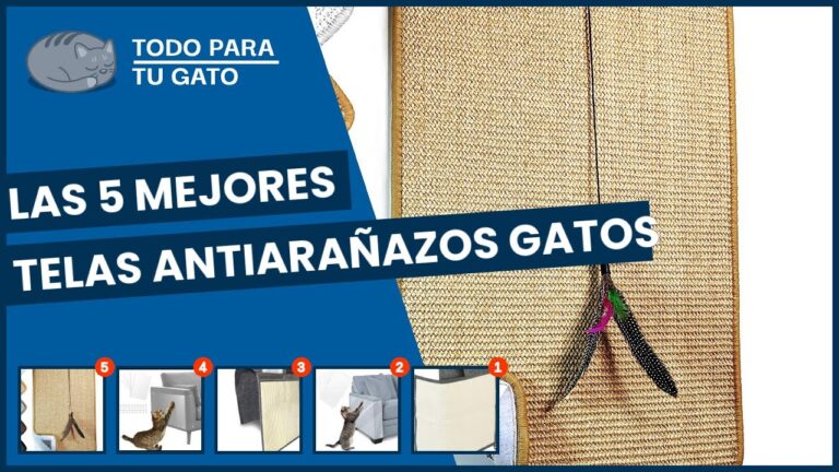 Telas para Sofás: Soluciones con Protección Antiarañazos