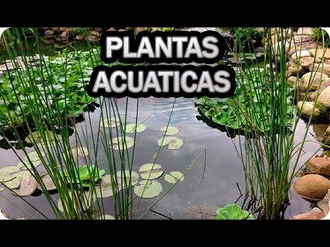 La importancia de seleccionar la tela adecuada para carpas