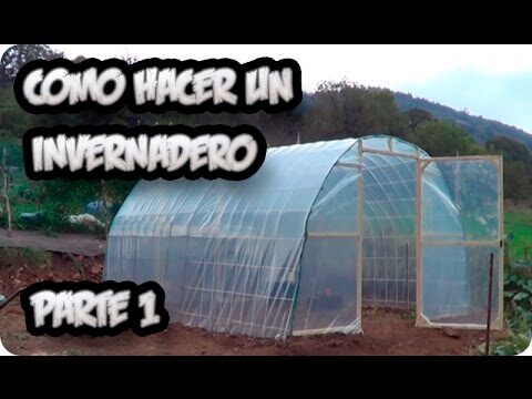 Innovación en Lino Fresco para la Ropa Infantil