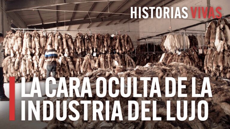 Telas Finas para Trajes de Cuero de Lujo: Elegancia y Calidad